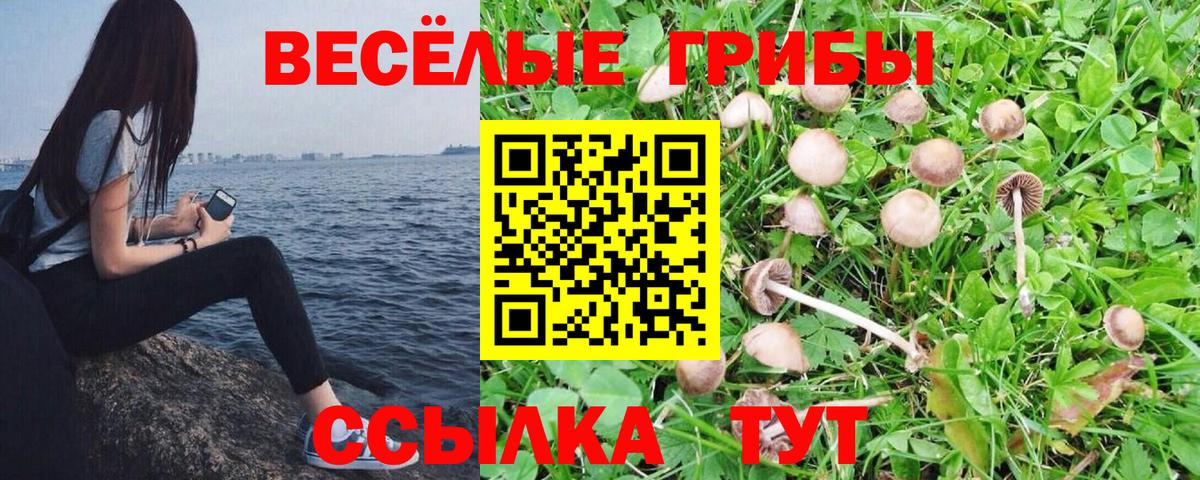 Элиста  Галлюциногенные грибы мухоморы  Вход с VPN  Галлюциногенные грибы GOLDEN TEACHER 