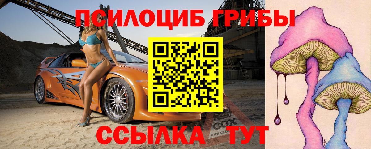 Галлюциногенные грибы Psilocybe Элиста